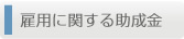雇用に関する助成金